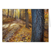 Seldom Traveled Road cards