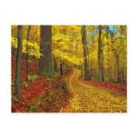 Seldom used road , postcard