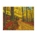 Seldom used road , postcard