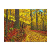 Seldom used road , postcard by GinaSignore Seldom used road , postcard