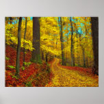 Seldom Used Road Print