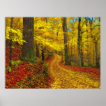 Seldom used road , print