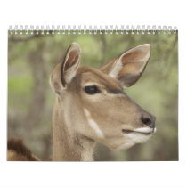 Selected Images Calendar