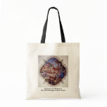 Selenium And Endymion By Orelli Giuseppe Antonio bags