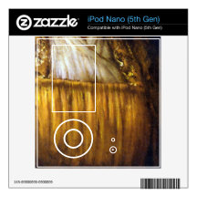 Self-Portrait by Rembrandt Harmenszoon van Rijn Decals For iPod Nano 5G