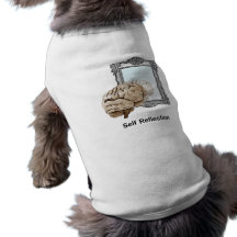 Self Reflection Dog Clothing