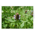 selfheal cards