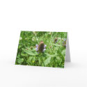 selfheal cards