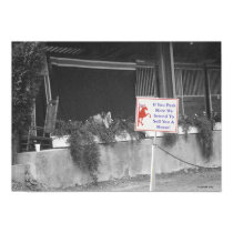 Sell A Horse posters by StarLily Sell A Horse posters