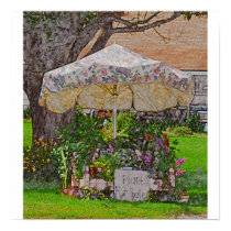 Selling Plants Poster posters by nedell Selling Plants Poster posters