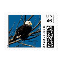 Sello americano de Eagle calvo