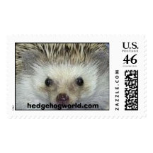 sello de hedgehogworld.com