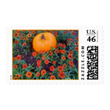 Sello de la calabaza del Zinnia