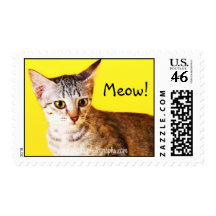 Sello del maullido del gato