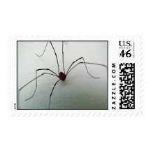 Sello espeluznante de la araña