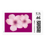 Sello rosado de las flores
