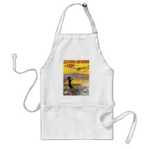 Semaine d' Aviation de Lyon Vintage Travel Poster Apron