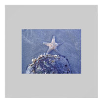 Semi Immersed Starfish posters by ggbythebay Semi Immersed Starfish posters