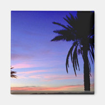 Semi-tropical landscape, Arizona, U.S.A. Refrigerator Magnet