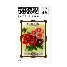 Semillas del Phlox de Burt Sello