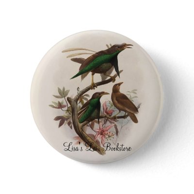 Semioptera wallacii - Wallace's Bird Of Paradise Button by LisasLair