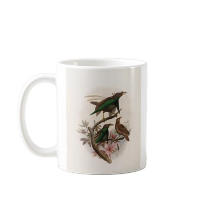 Semioptera wallacii - Wallace's Bird Of Paradise Coffee Mugs by LisasLair