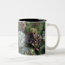 Sempervivum Mug