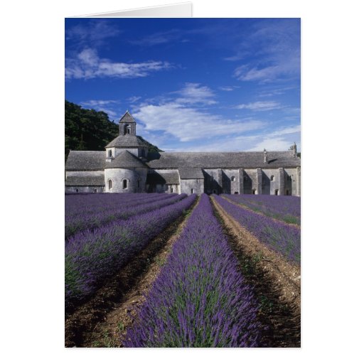 Senanque Abbey, Gordes, Vaucluse, Provence, Greeting Cards
