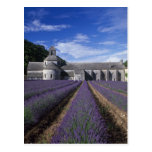 Senanque Abbey, Gordes, Vaucluse, Provence, Postcard