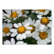 Send a flower that lasts. cards by Ella Send a flower that lasts. cards