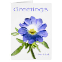 Send a flower that lasts. cards by Ella Send a flower that lasts. cards