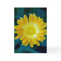 Send Flower to your friends that lasts. cards by Ella Send Flower to your friends that lasts. cards
