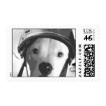 Send in the Dogs Postage postage