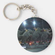 SEND IN THE ELEPHANTS keychain