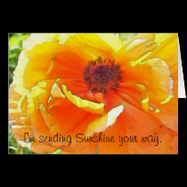 Sending Sunshine your way. cards