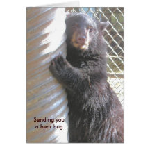 'Sending you a bear hug' Note Card