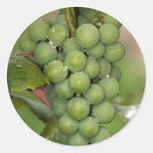 Seneca Grapes Sticker