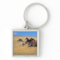 Seneca, Oregon, USA Keychain