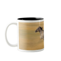 Seneca, Oregon, USA Mug