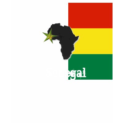 Senegal Bliss Tshirt by tembimuna