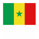 Senegal Flag and Map T-Shirt