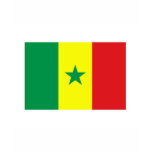 Senegal FLAG International Tee Shirt