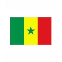 Senegal FLAG International t-shirts