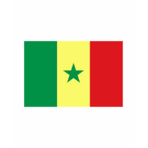 Senegal FLAG International t-shirts