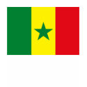 Senegal Flag T-shirt