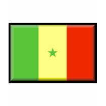 Senegal Flag t-shirts