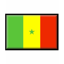 Senegal Flag t-shirts