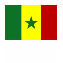 Senegal Flag shirt
