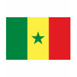 Senegal Flag T Shirts