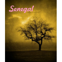 Senegal gold t-shirts